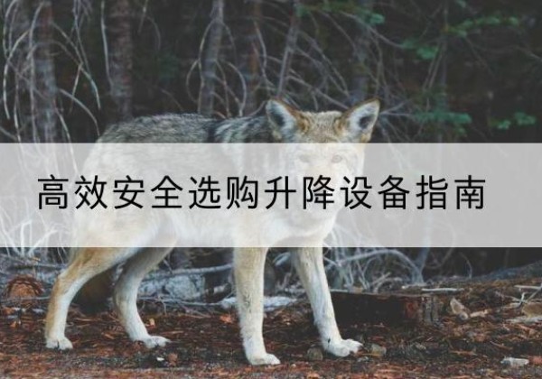 浮山升降货梯厂家推荐-*安全选购升降设备指南