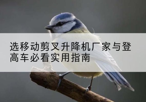 浮山电动升降机厂家-选移动剪叉升降机厂家与登高车必看实用指南